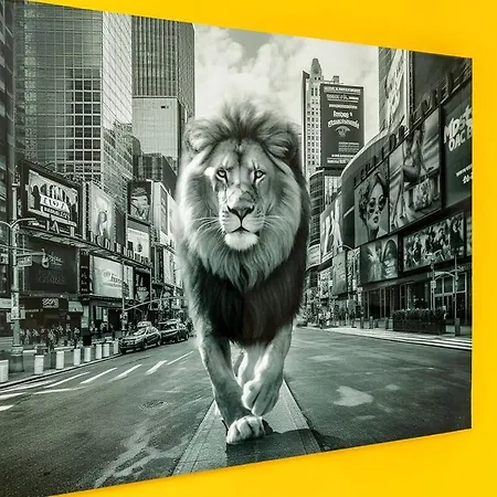 Springmill Gem Apartment Bradford (West Yorkshire)