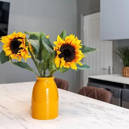 Springmill Gem Apartment Bradford (West Yorkshire)