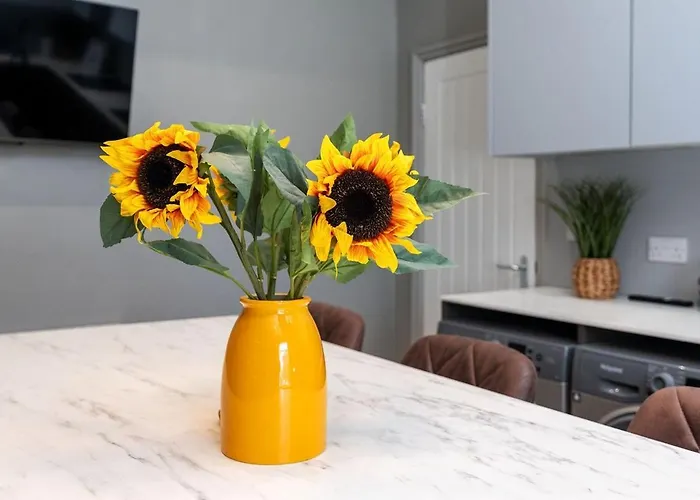 Springmill Gem Apartment Bradford (West Yorkshire)